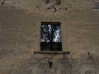 Da gi� per� notiamo una feritoia presente al livello superiore, attraverso cui si intravede un alto albero. Una maestosa pianta � quindi riuscita a crescere fra queste mura, unico sprazzo di vita nel �deserto� che la circonda